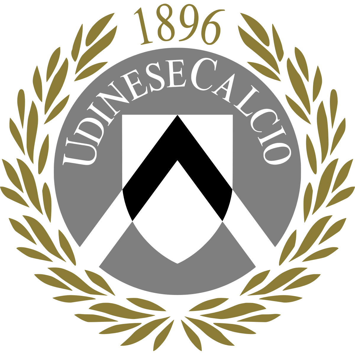 Udinese calcio