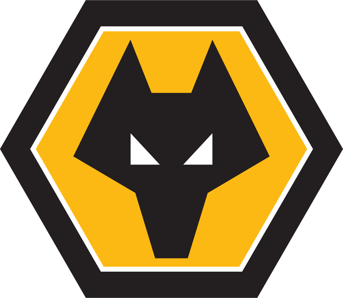 Wolverhampton wanderers